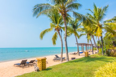 Güzel plaj ve palmiye ağaçları ile