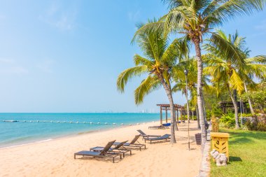 Güzel plaj ve palmiye ağaçları ile