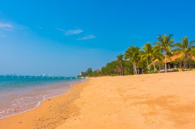 Güzel plaj ve palmiye ağaçları ile