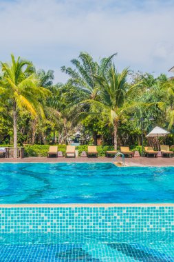 palmiye ağaçları ve Deniz Yüzme Havuzu