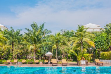 palmiye ağaçları ve Deniz Yüzme Havuzu