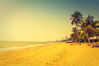 Sahildeki palmiye ağaçları