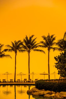 Şemsiyeleri ve sandalyeler Yüzme Havuzu etrafında