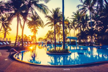 açık şemsiye ve havuz etrafında sandalyeler