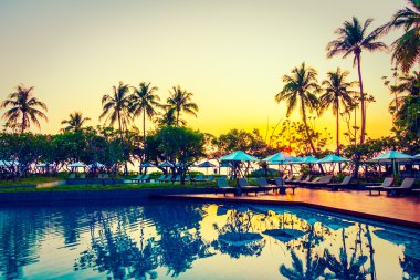 Şemsiye ile Hindistan cevizi hurma ağaçlarının Silhouettes