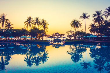 Şemsiye ile Hindistan cevizi hurma ağaçlarının Silhouettes