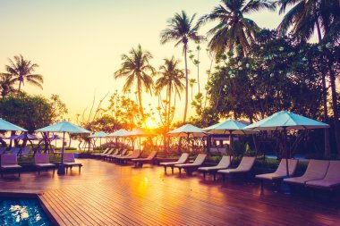 Şemsiye ile Hindistan cevizi hurma ağaçlarının Silhouettes