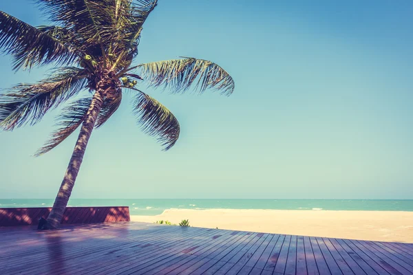 Hindistan cevizi palmiyesi