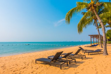 Güzel plaj ve palmiye ağaçları ile