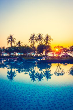 Hindistan cevizi hurma ağaçlarının Silhouettes