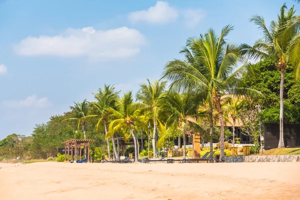 Красивый пляж и море с пальмами — стоковое фото