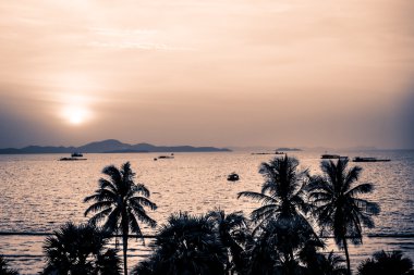 ve palmiye ağaçlarının Silhouettes