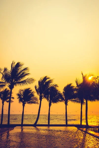 Silhuetter av palmer med solnedgång — Stockfoto