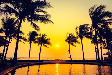 Gün batımı ile palmiye ağaçlarının Silhouettes