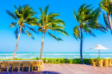 Şemsiye ve Yüzme Havuzu etrafında sandalyeler