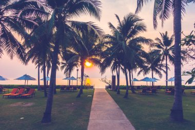 Ve Yüzme Havuzu palmiye ağaçlarının Silhouettes