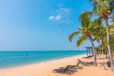 Güzel plaj ve palmiye ağaçları ile