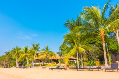 Güzel plaj ve palmiye ağaçları ile