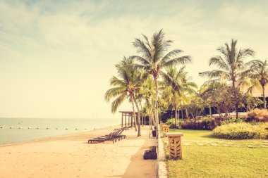 Güzel plaj ve palmiye ağaçları ile