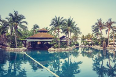 lüks Yüzme Havuzu Peyzaj