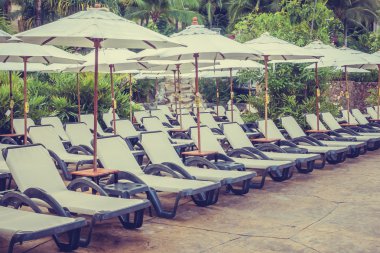 lüks Yüzme Havuzu Peyzaj