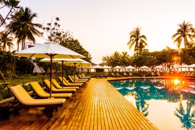 Hindistan cevizi hurma ağaçlarının Silhouettes