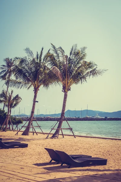 Pálmafák a strandon — Stock Fotó