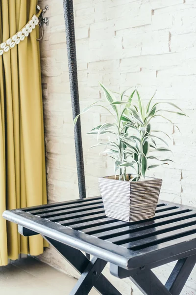 Vaso albero delle piante — Foto Stock