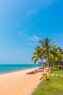 Güzel plaj ve palmiye ağaçları ile