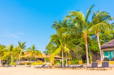 Güzel plaj ve palmiye ağaçları ile