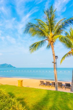 Güzel plaj ve palmiye ağaçları ile