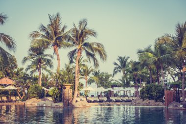 lüks Yüzme Havuzu Peyzaj