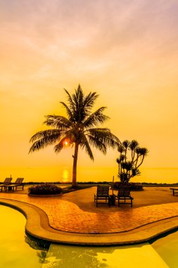 Hindistan cevizi hurma ağaçlarının Silhouettes