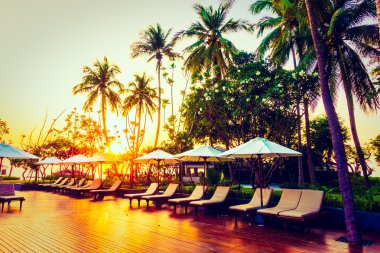 Hindistan cevizi hurma ağaçlarının Silhouettes