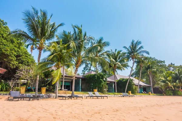 Güzel plaj ve palmiye ağaçları ile
