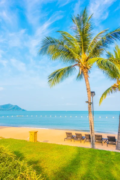 Güzel plaj ve palmiye ağaçları ile