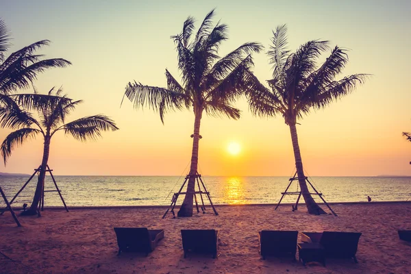 Sahildeki palmiye ağaçları