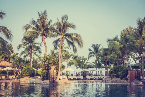 lüks Yüzme Havuzu Peyzaj