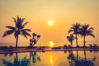 Hindistan cevizi hurma ağaçlarının Silhouettes