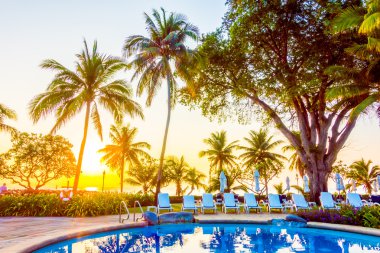 açık şemsiye ve havuz etrafında sandalyeler