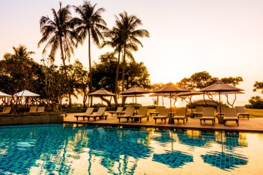 Hindistan cevizi hurma ağaçlarının Silhouettes