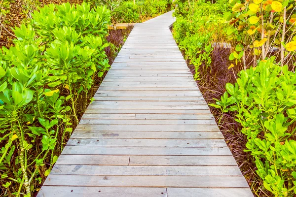 Wooden path for walking — Stock Photo, Image