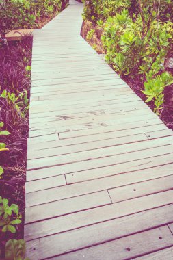 Eski ahşap yolu yürüyüş