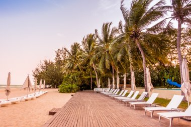 Güzel sahil ve deniz