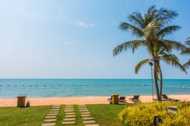 Güzel plaj ve palmiye ağaçları ile