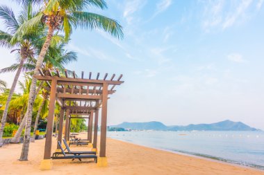 Güzel plaj ve palmiye ağaçları ile