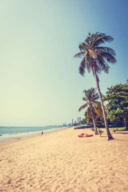 Sahildeki palmiye ağaçları