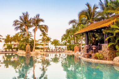 lüks Yüzme Havuzu Peyzaj