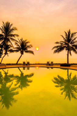 Hindistan cevizi hurma ağaçlarının Silhouettes