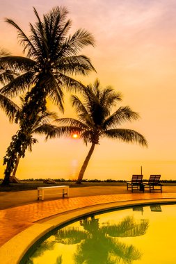 Hindistan cevizi hurma ağaçlarının Silhouettes